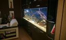 Встроенный аквариум в гостиной-image-0000