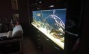 Встроенный аквариум в гостиной-image-0001