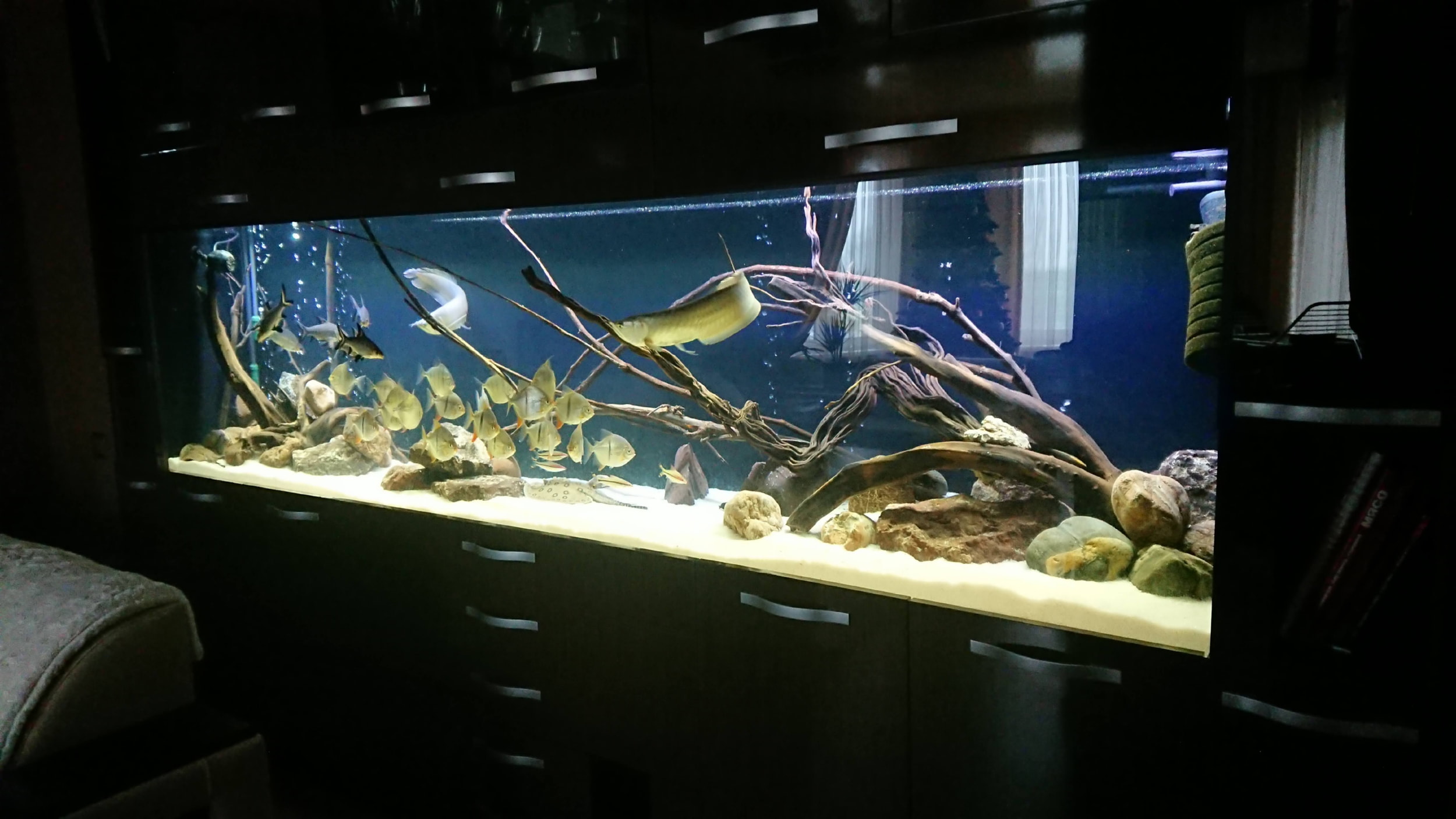 Встроенный аквариум в мебель в гостиной