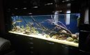 Встроенный аквариум в гостиной-image-0006